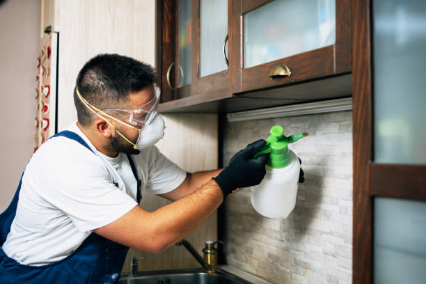 Chester Gap, VA Pest Control Company