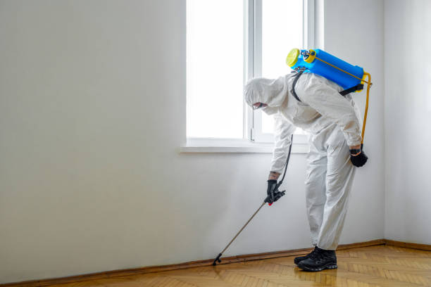 Best Ant Control Services  in Chester Gap, VA